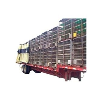 flatbed trailer transporting live poultry with curtain style tarp