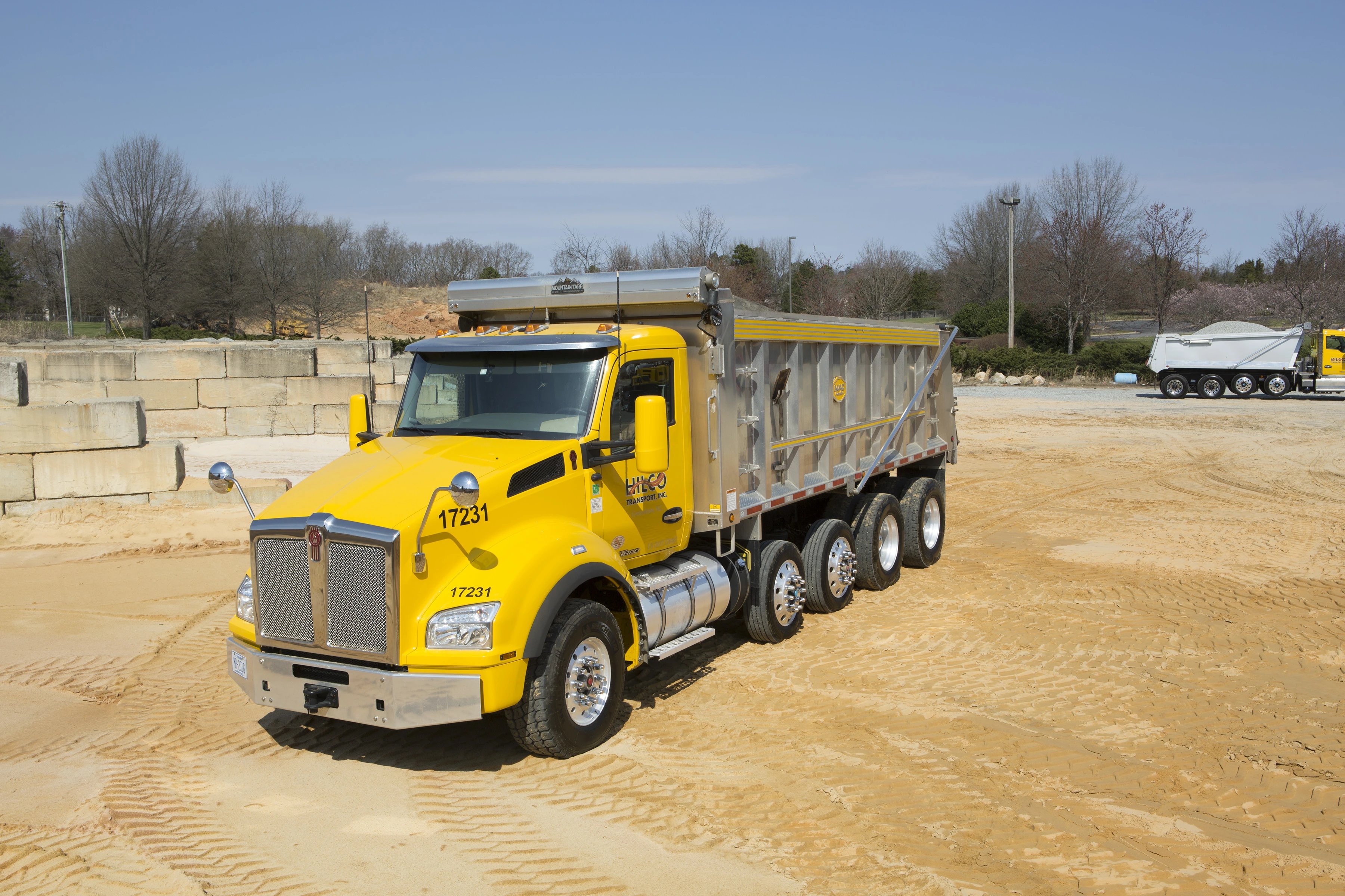 96" Electric Flip Tarp 25'-28' Dump